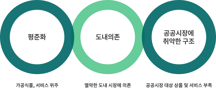 평준화(가공식품, 서비스 위주), 도내의존(열악한 도내 시장에 의존), 공공시장에 취약한 구조(공공시장 대상 상품 및 서비스 부족)